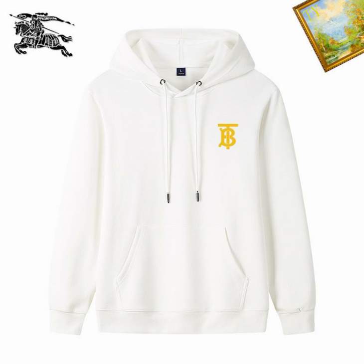Picture of Burberry Hoodies _SKUBurberryM-3XL25tn501717